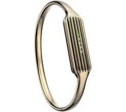 Fitbit Flex 2 Accessory Bangle Gold Large  