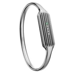 Fitbit Flex 2 Accessory Bangle Silver  