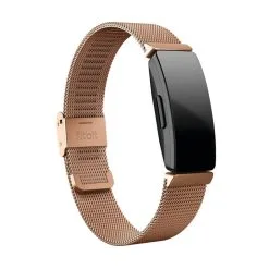 Fitbit Inspire Stainless Steel Mesh Band Rose Gold   -Outlet Golf Putter Store 32209 2
