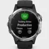 Garmin Fenix 5 Plus GPS Silver With Black Band  